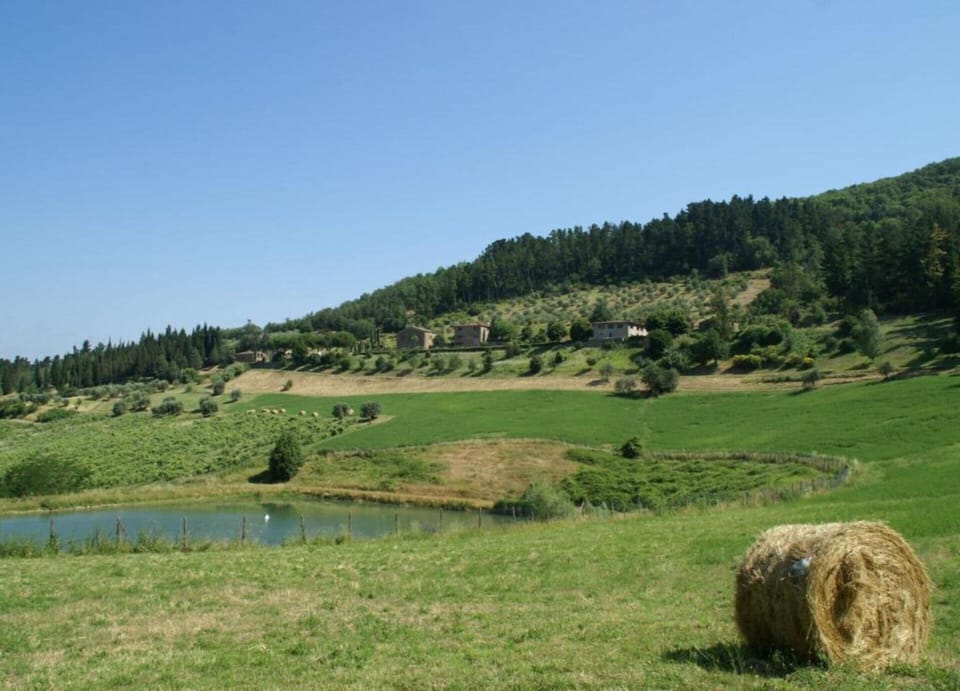 House | View from property