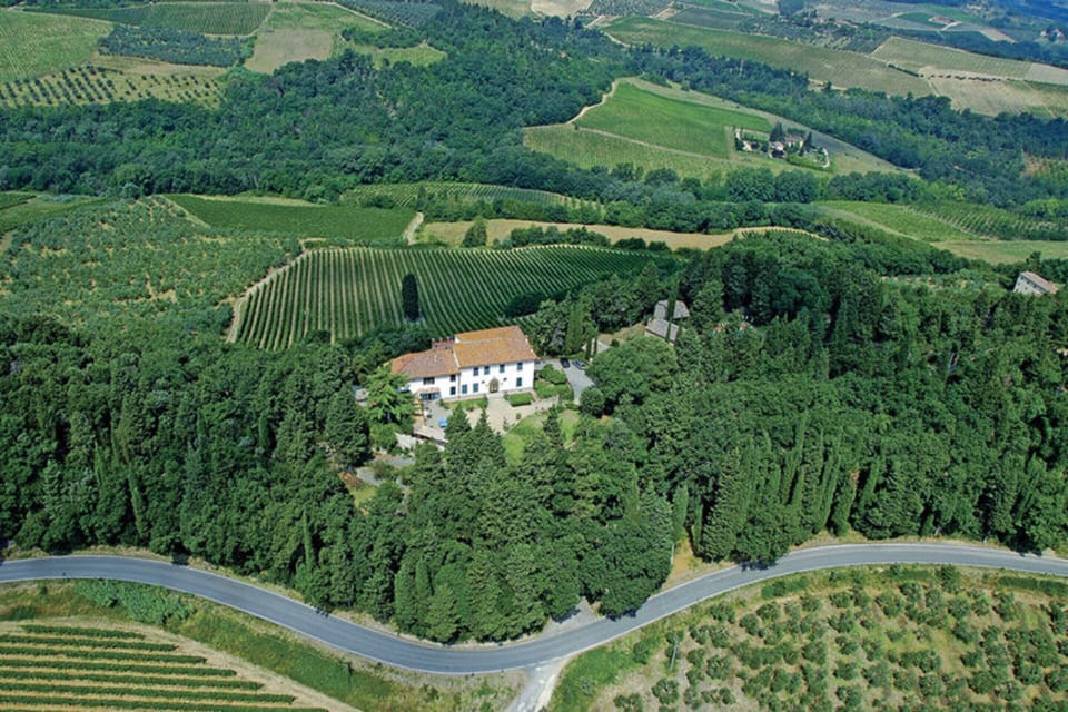 House | Aerial view