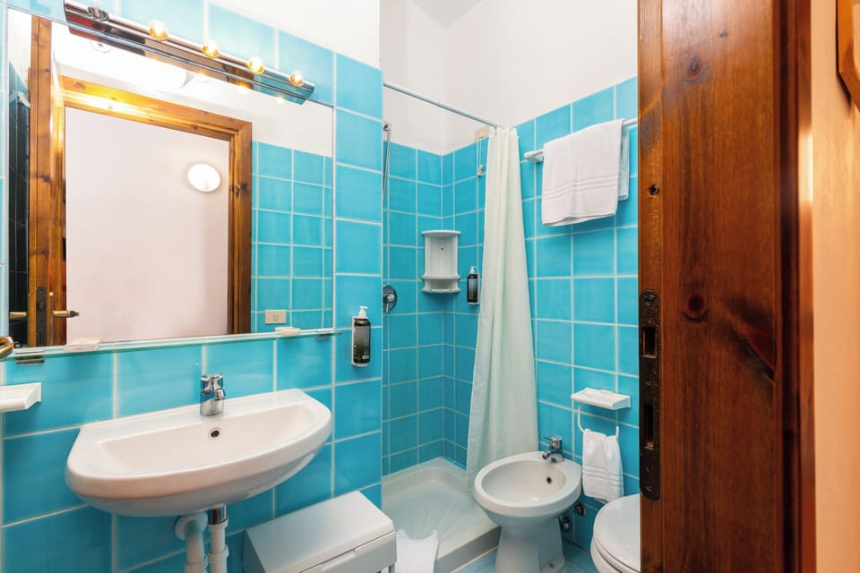 Classic Double Room, 1 Double Bed | Bathroom | Free toiletries, hair dryer, bidet, towels