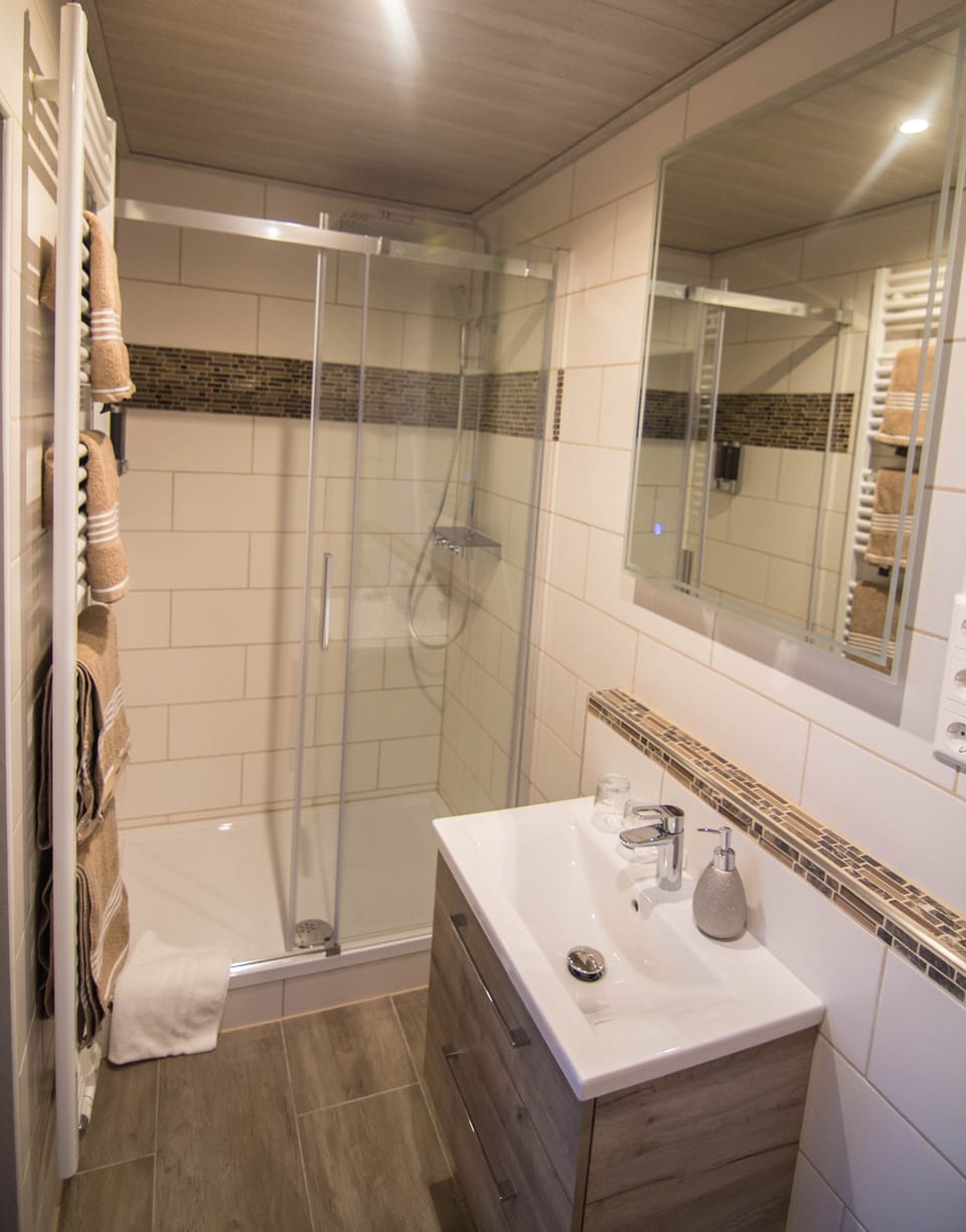 Double Room | Bathroom | Shower, rainfall showerhead, hair dryer, towels