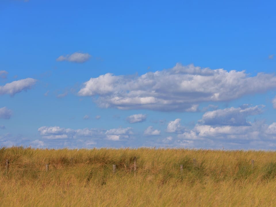 Apartment | View from property