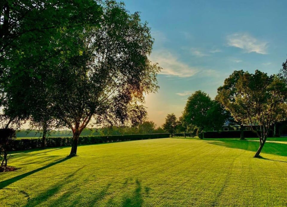 House | View from property