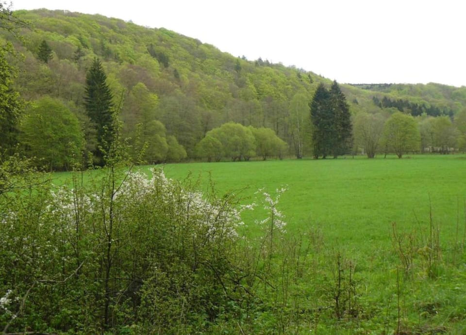 House | View from property