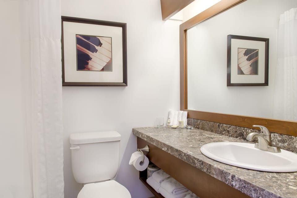 Combined shower/tub, eco-friendly toiletries, hair dryer, towels