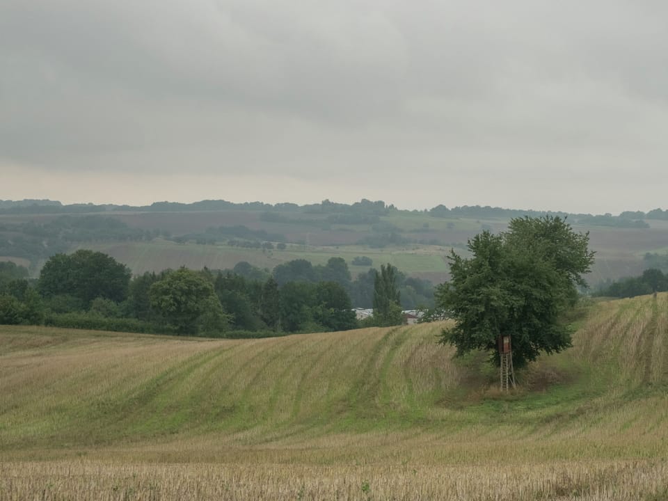 Bungalow | View from property