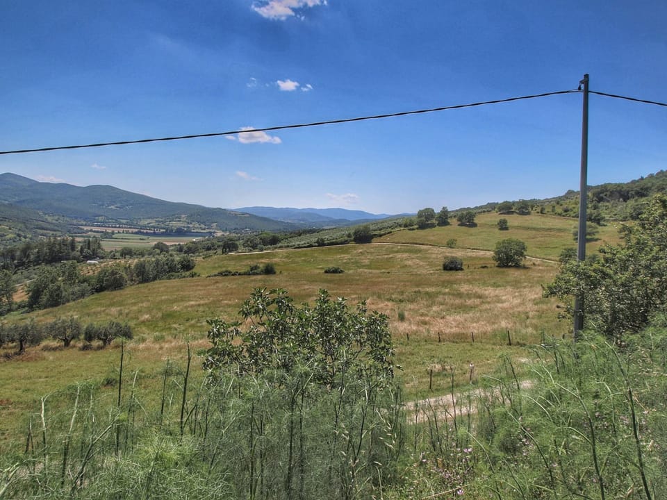 House | View from property