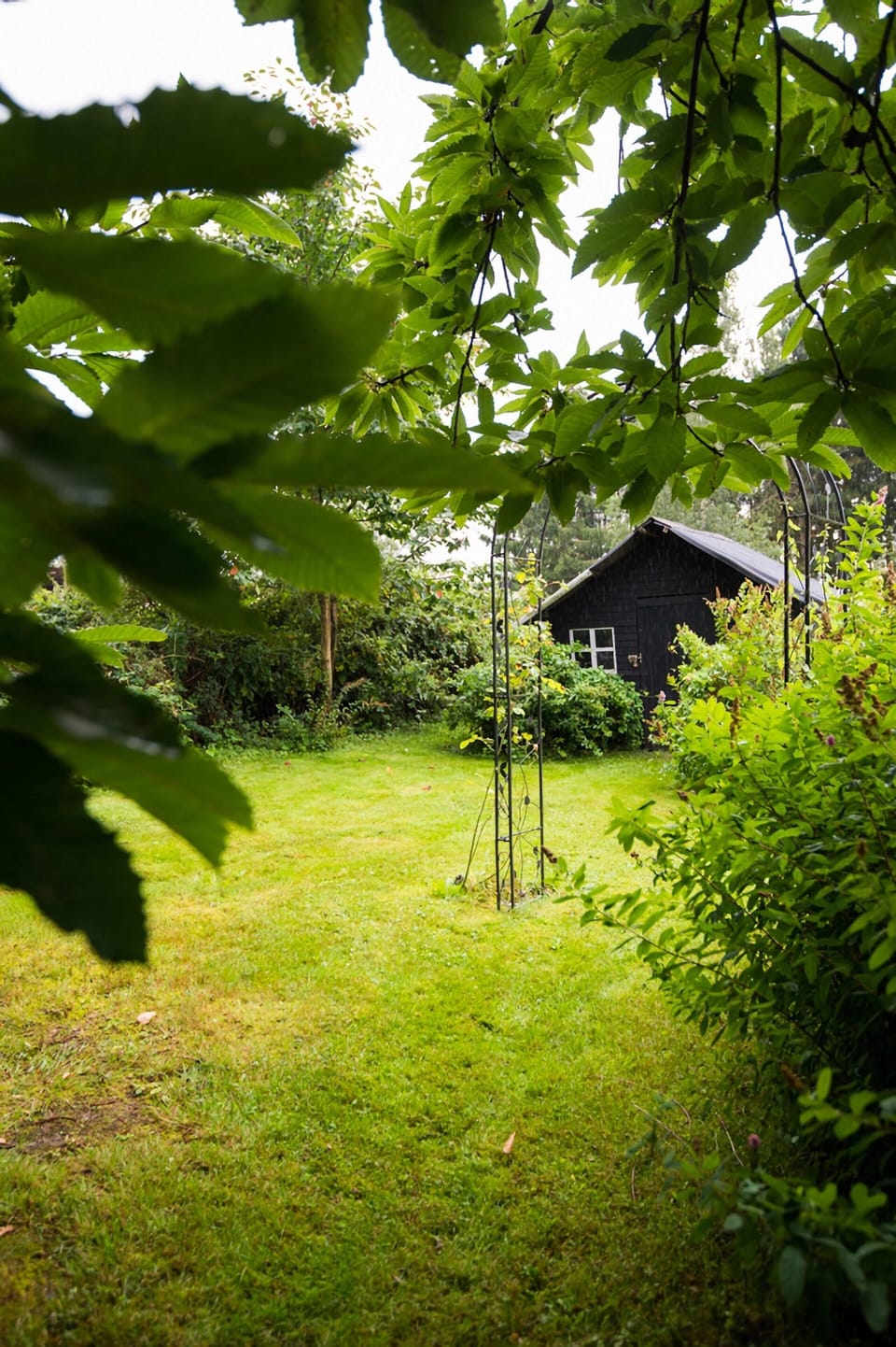 House | Garden