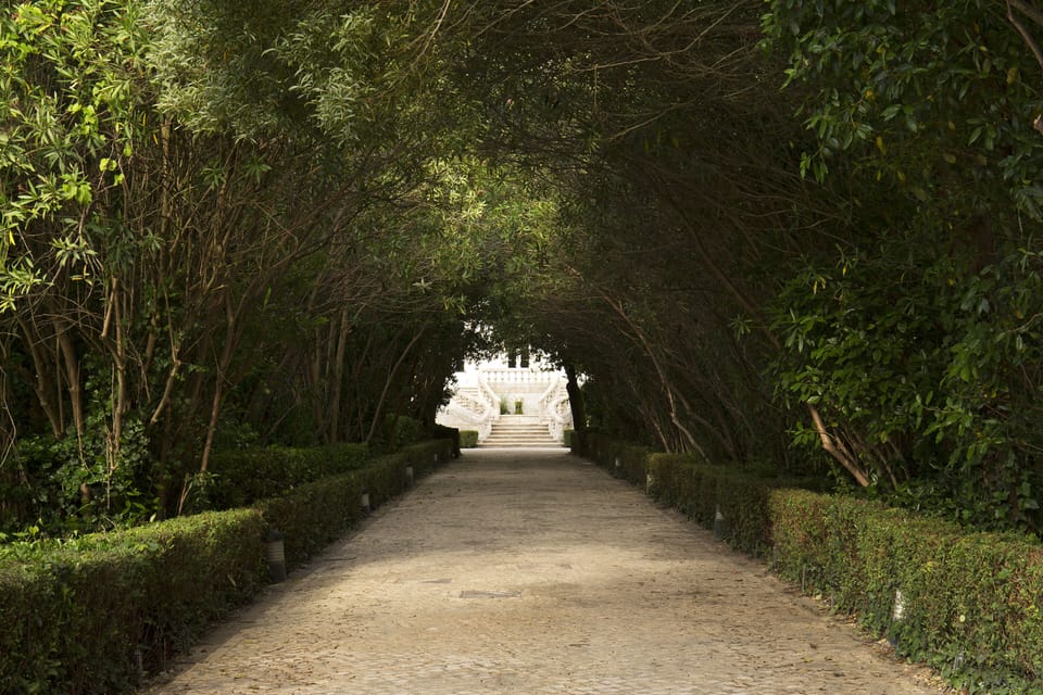 Quinta Das Lagrimas Hotel in Coimbra