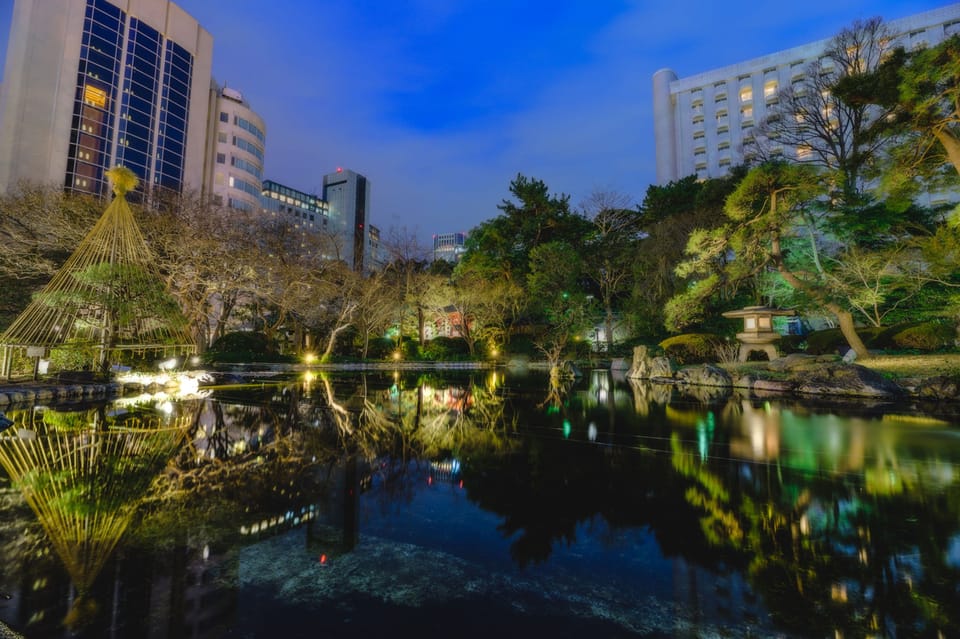 Japanese garden