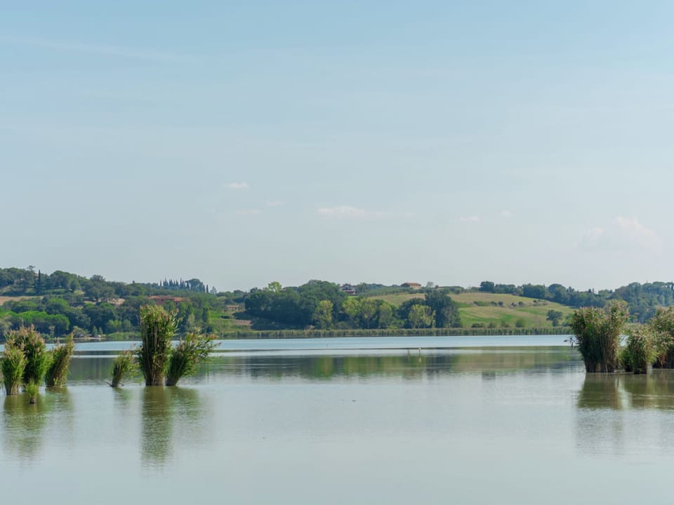 House | View from property