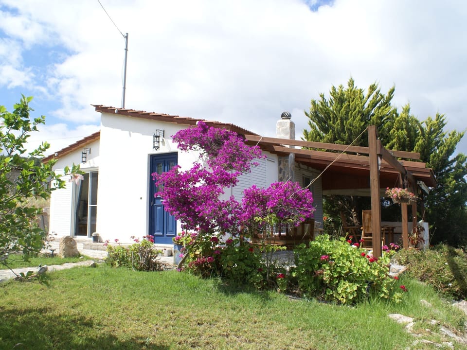 House | Exterior