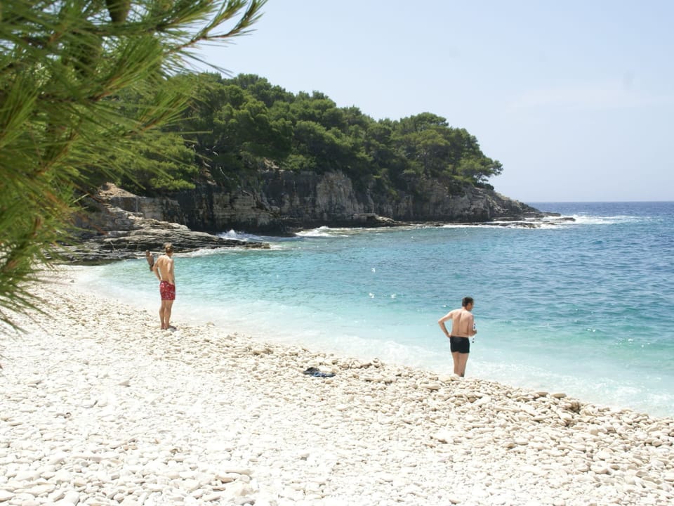 Apartment | View from property