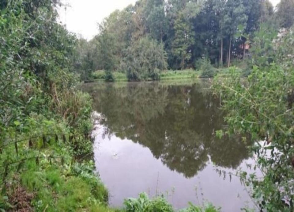 Bungalow | View from property