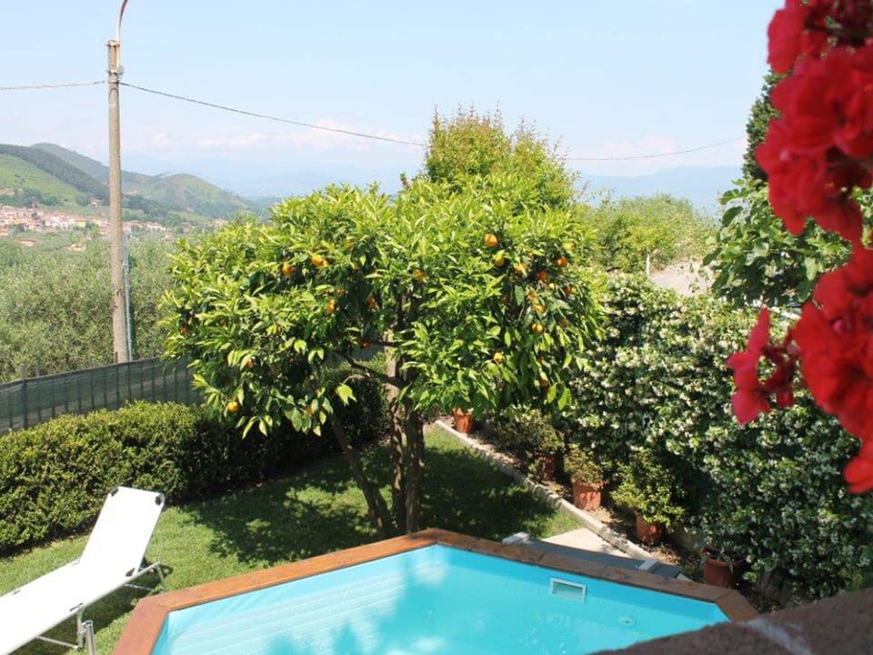 House | Pool | Indoor pool, outdoor pool