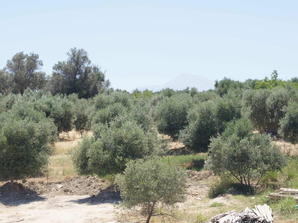 Villa | View from property