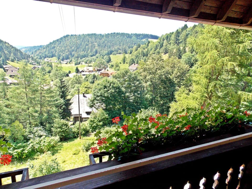 House | View from property