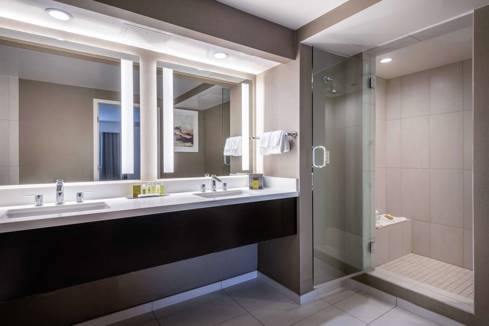 Suite, 1 King Bed | Bathroom | Free toiletries, hair dryer, towels, soap