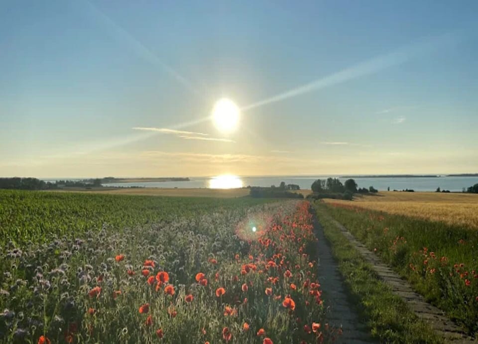 Bungalow | View from property