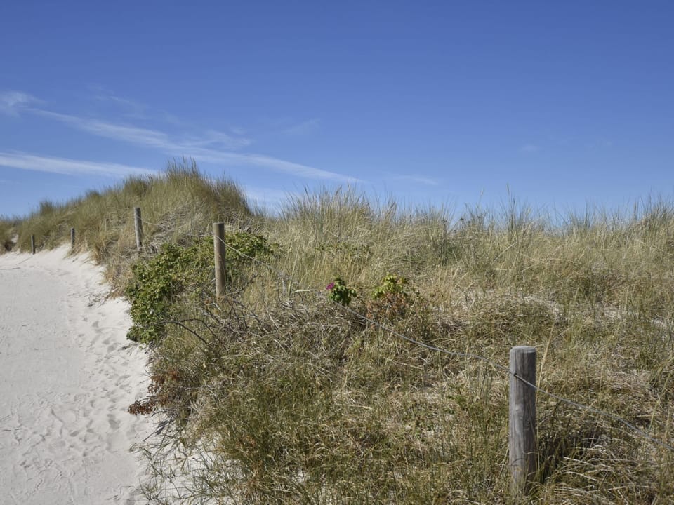 Apartment | View from property