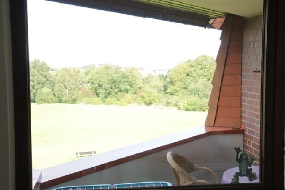 Basic Studio | View from room