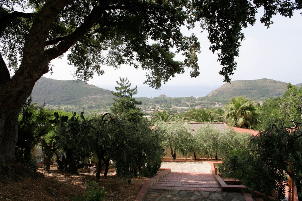 House | View from property