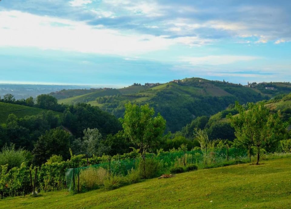 House | View from property