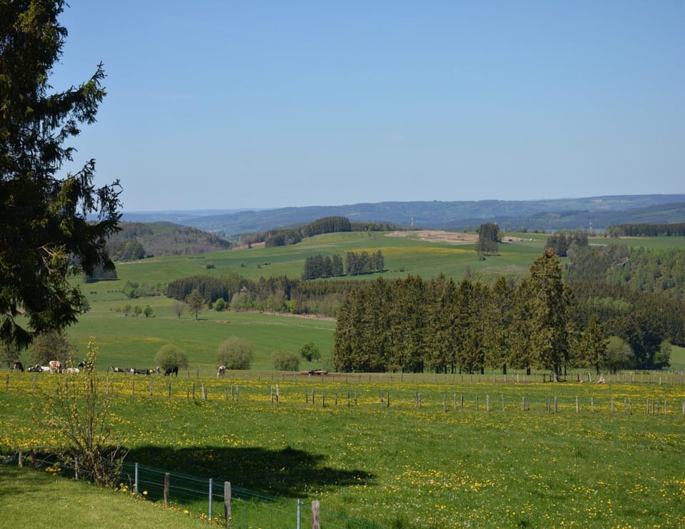 Chalet | View from property
