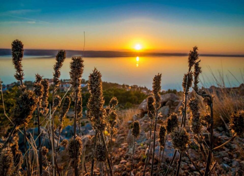 House | View from property