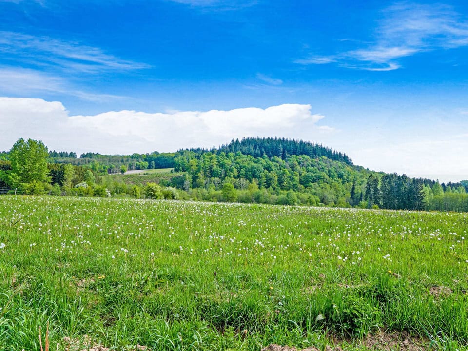 Cottage | View from property