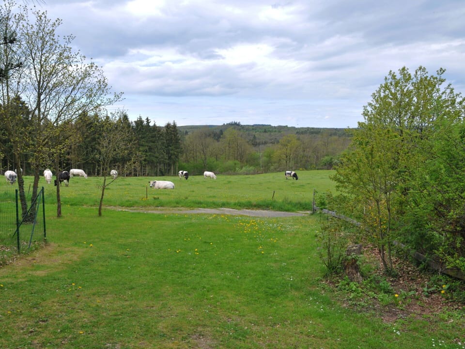 House | View from property