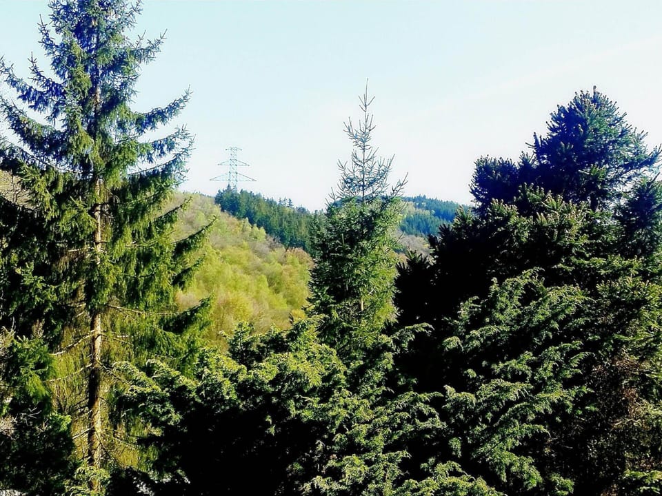 Chalet | View from property