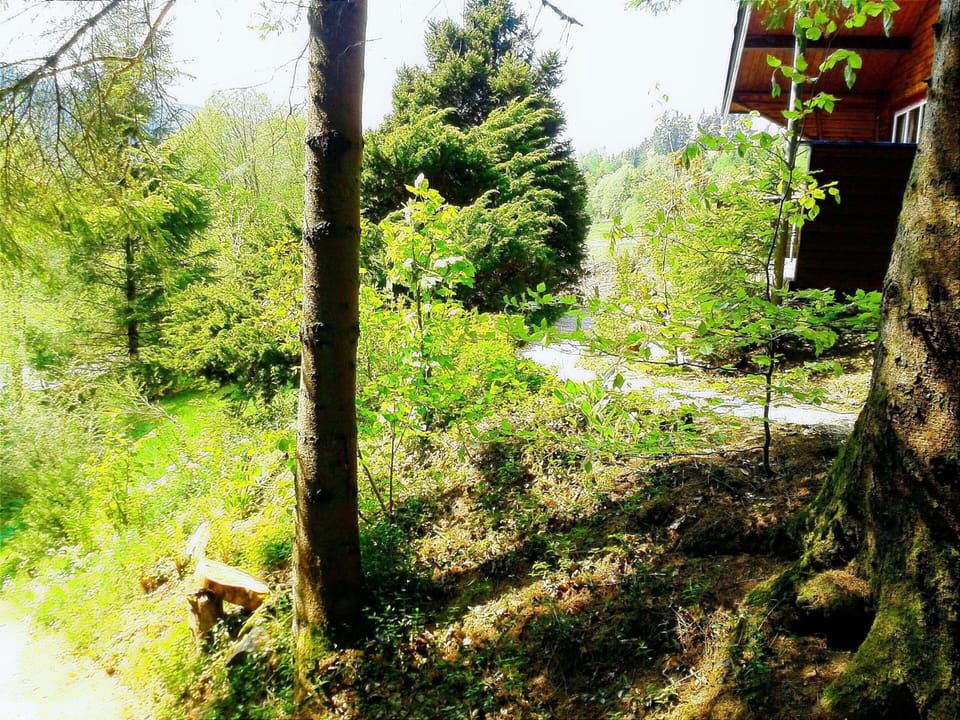 Chalet | View from property