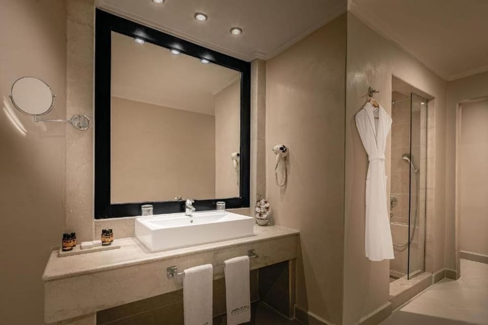 Shower, free toiletries, hair dryer, bidet