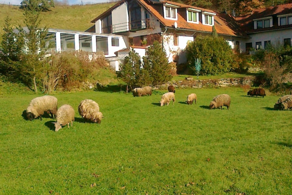 Villa | Garden