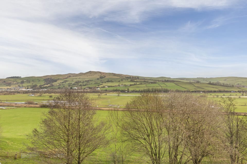Deluxe Cabin, Accessible, Ensuite (Woodside lodge) | View from property