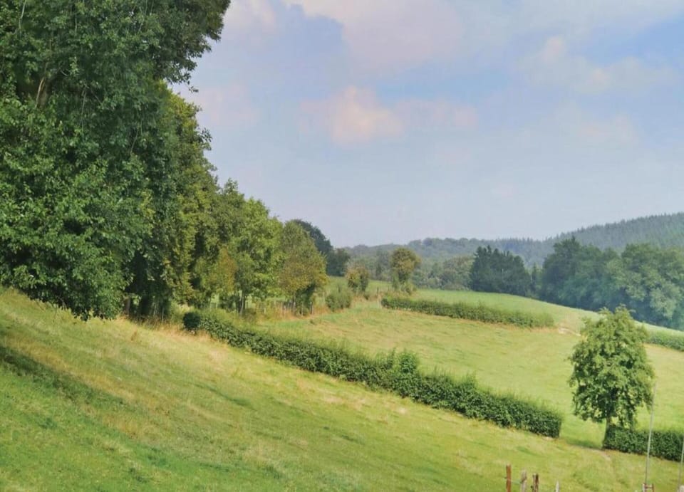 Apartment | View from property