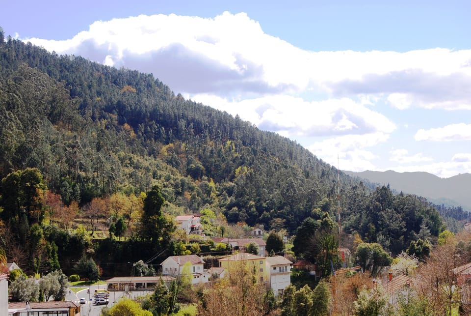 Mountain view