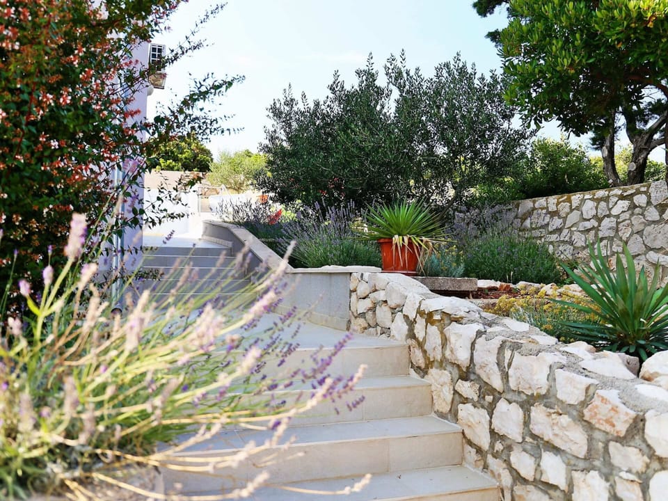 House | Garden