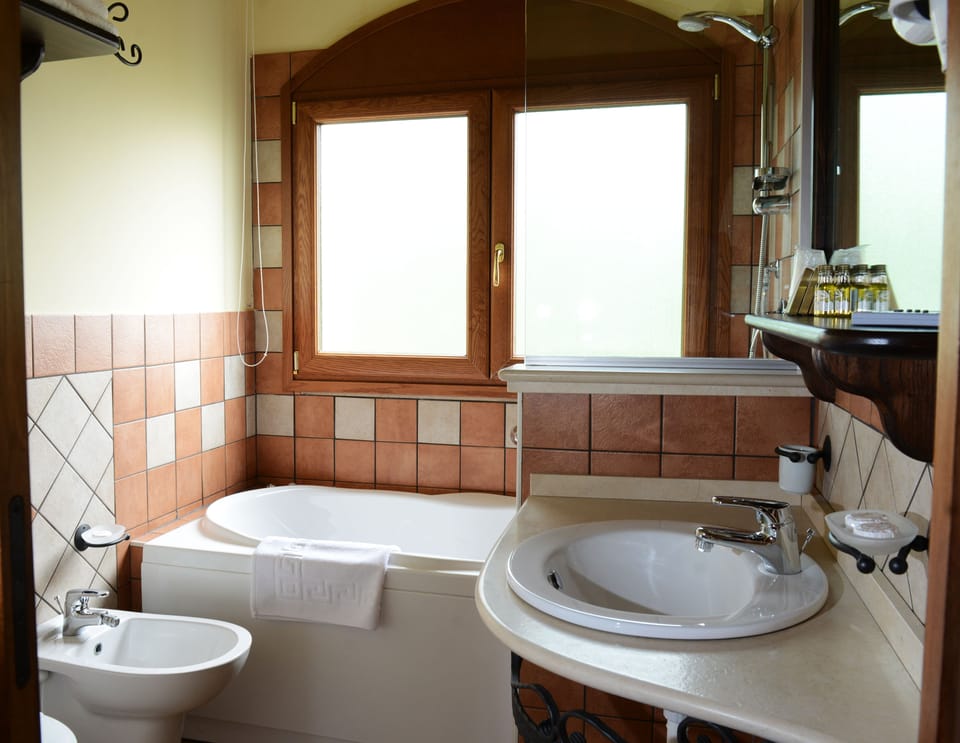 Free toiletries, hair dryer, slippers, bidet