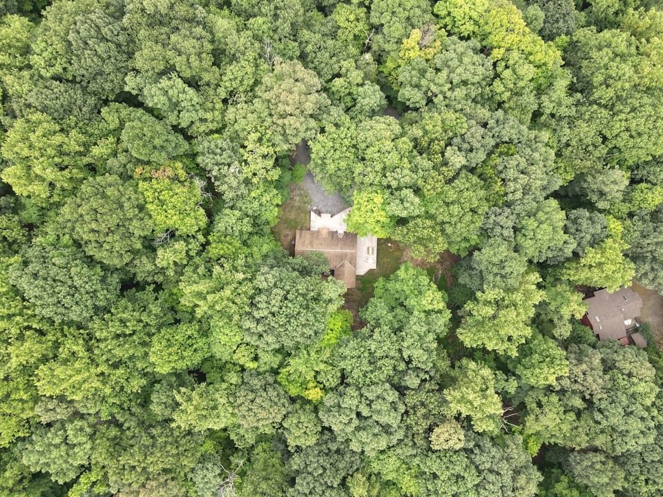 House, Multiple Beds (Dogwood Knoll - Wooded Escape) | Aerial view