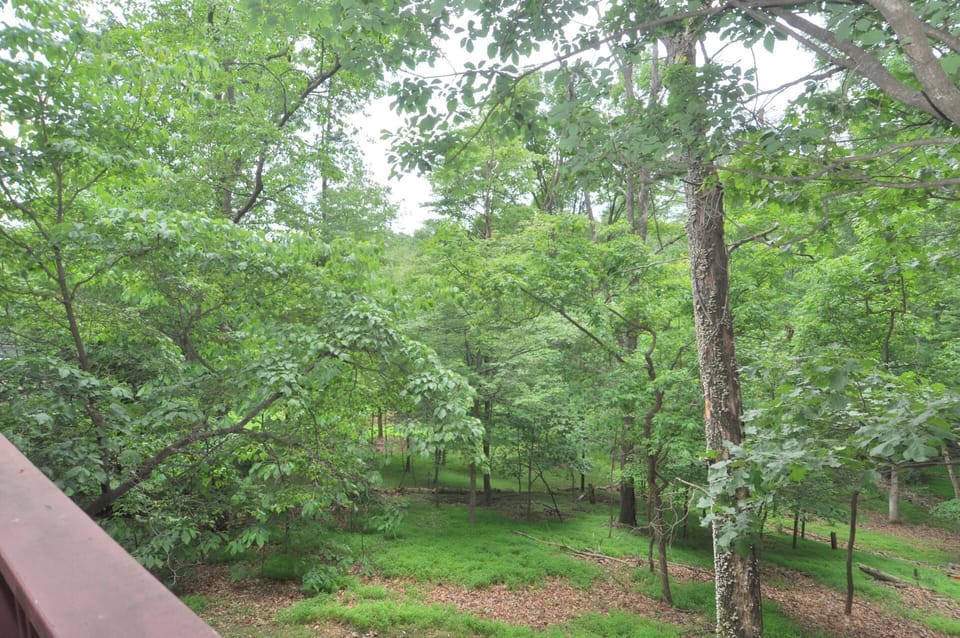 House, 2 Queen Beds (Treetop Cabin) | Property grounds