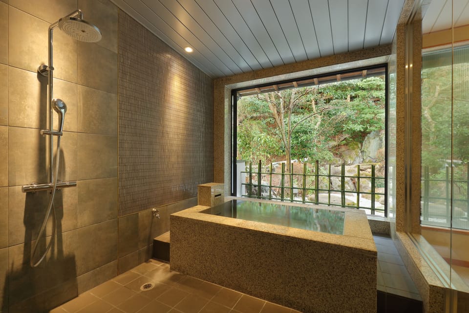 313 Deluxe King Bed Room with Indoor Silver Hot Springs, Non smoking | Mountain view