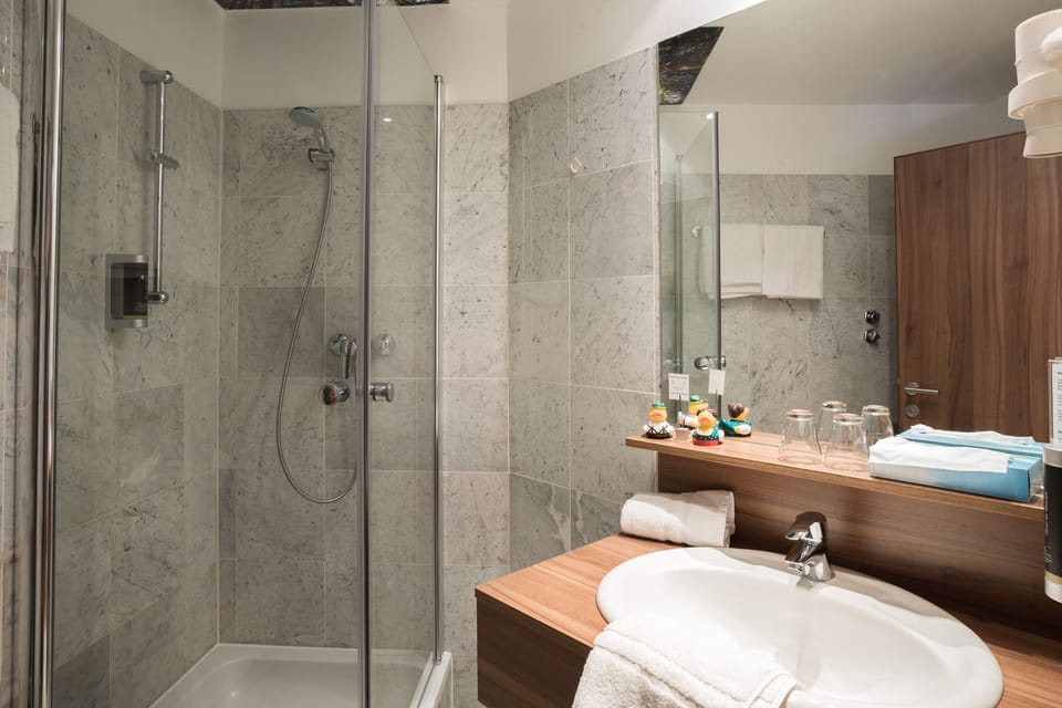 Business Single Room | Bathroom | Free toiletries, hair dryer, towels