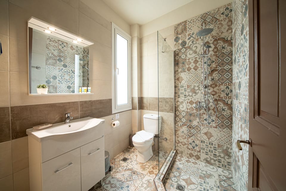 Deluxe Double Room | Bathroom | Shower, free toiletries, hair dryer, towels