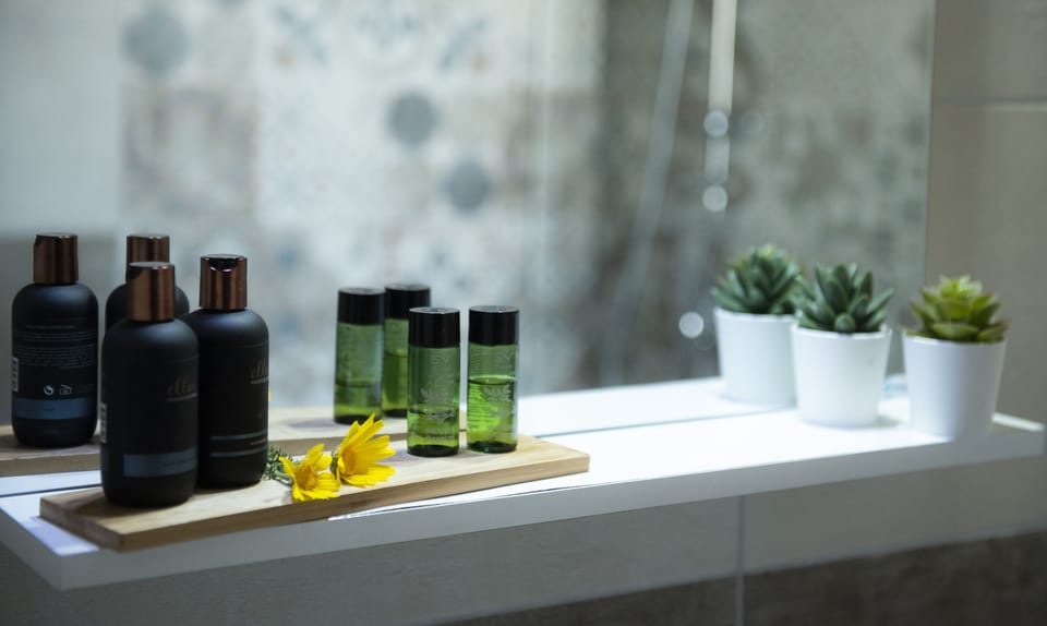 Deluxe Double Room | Bathroom amenities | Shower, free toiletries, hair dryer, towels