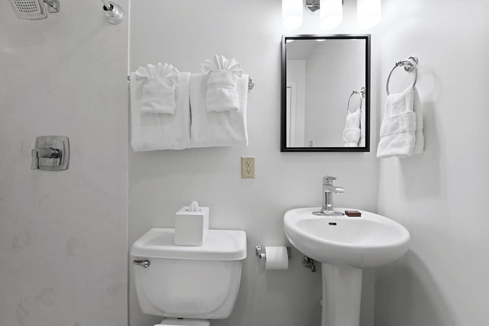 Premium Room, 1 Queen Bed | Bathroom | Shower, free toiletries, hair dryer, towels