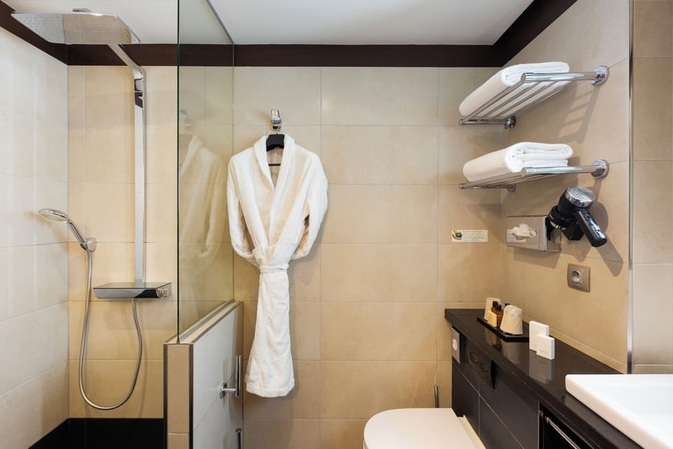 Deluxe Room | Bathroom | Shower, rainfall showerhead, free toiletries, hair dryer