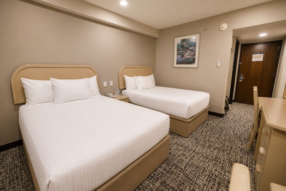 Standard Double Room | Egyptian cotton sheets, premium bedding, down comforters, desk