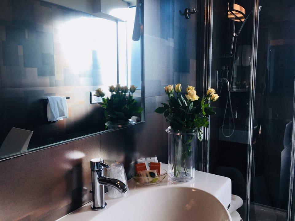Standard Double Room | Bathroom | Free toiletries, hair dryer, bidet, towels