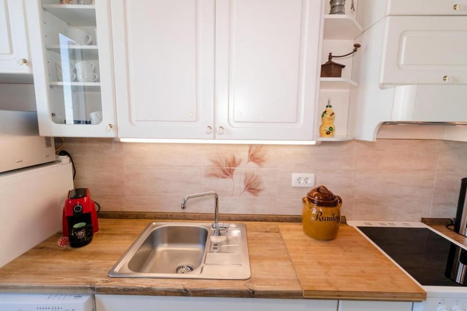 Classic Apartment (Two bedroom apartment) | Private kitchen | Fridge, cookware/dishes/utensils